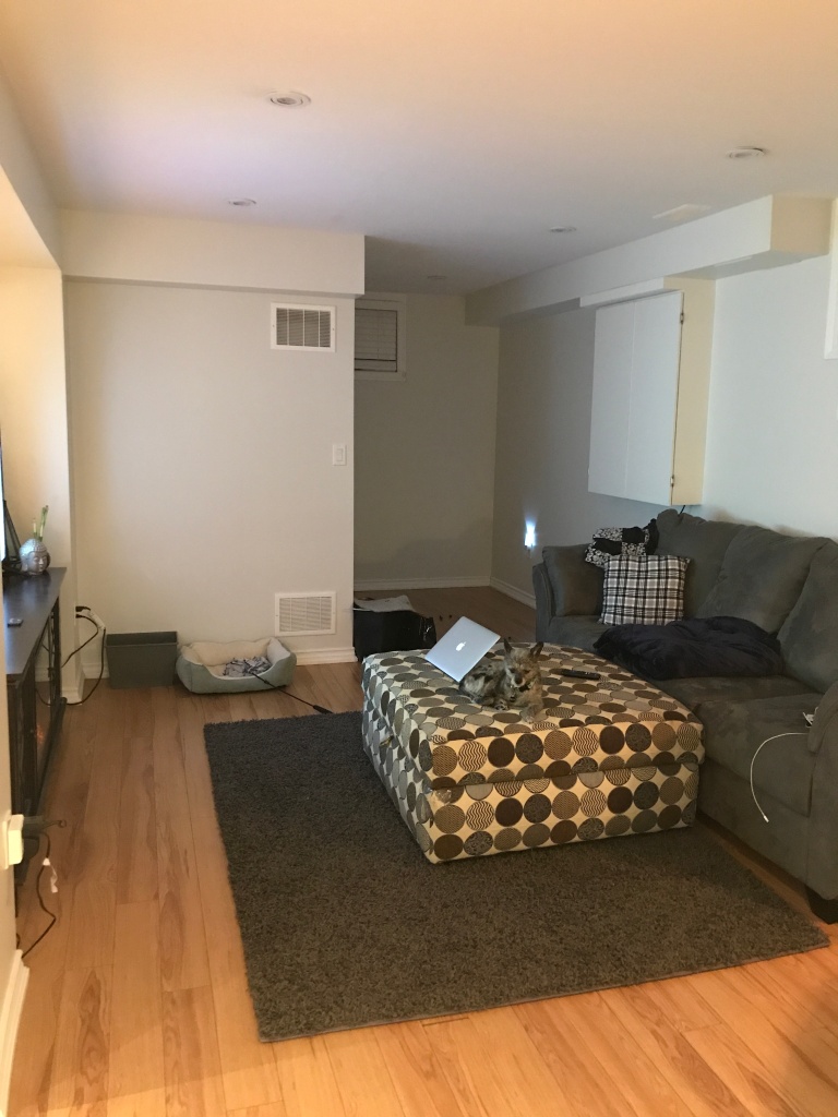 Basement apartment living room 